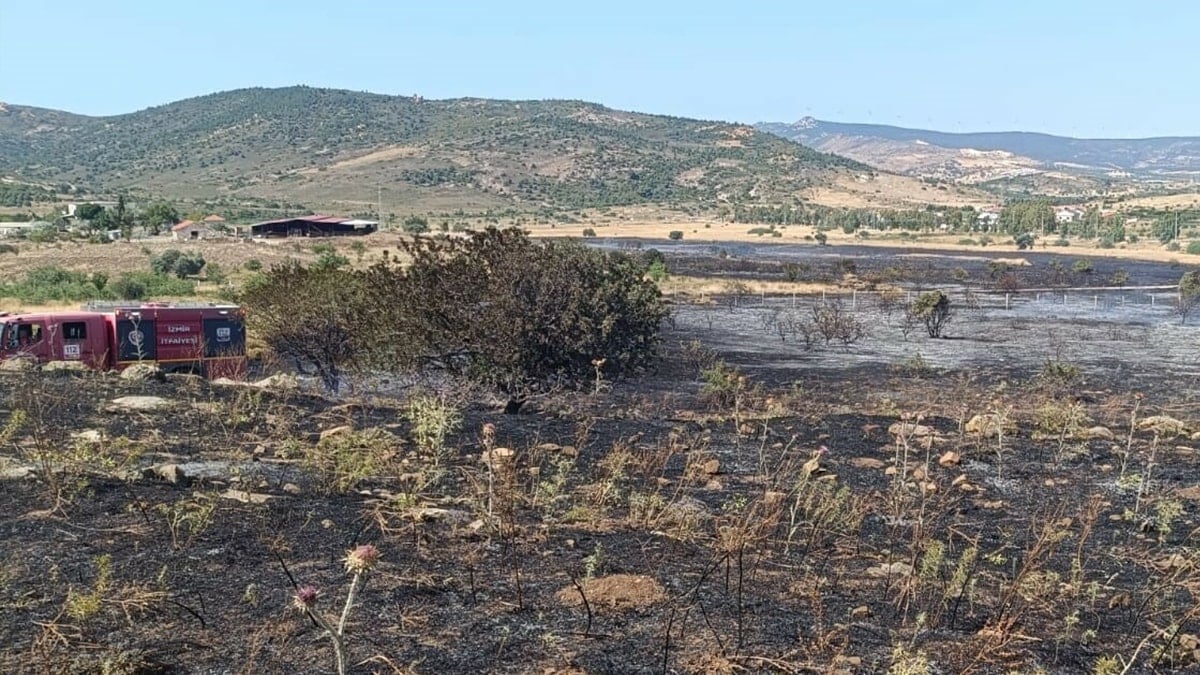 Foça Yangını