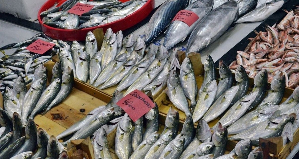 Balıkçıların yüzünü güldüren haber geldi, akın akın harekete geçtiler