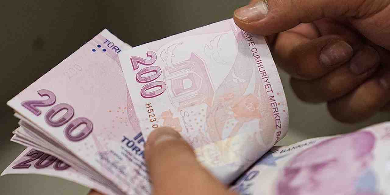 Belediyeden üreticiyi mutlu edecek destek: Yarısını verecek!