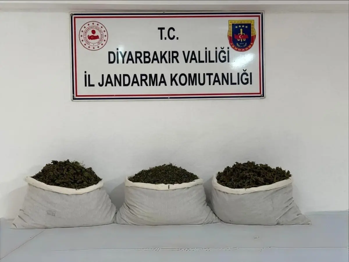 Diyarbakır’da Uyuşturucu Operasyonu: 19 Şüpheli Yakalandı