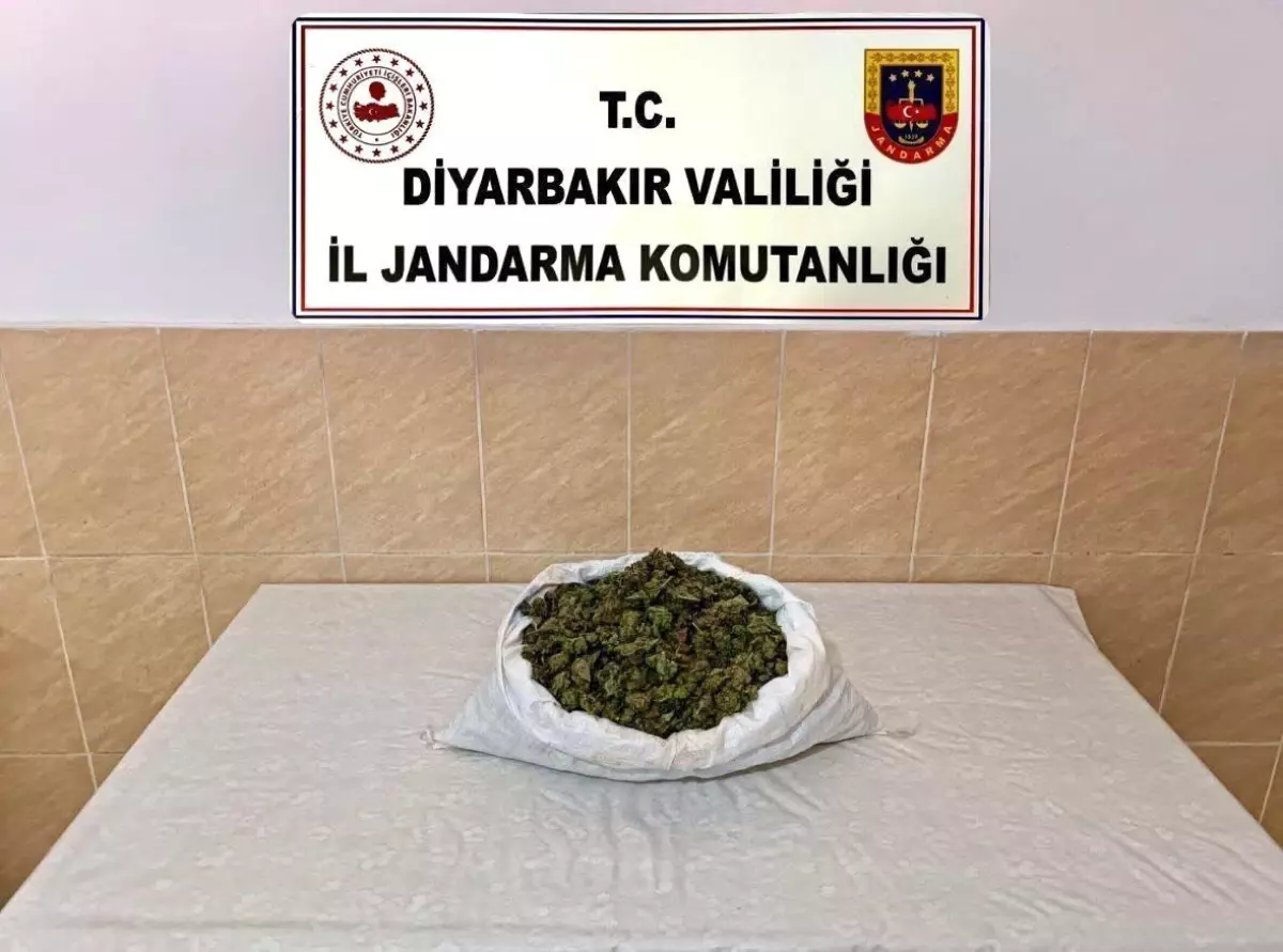 Diyarbakır’da Uyuşturucu Operasyonu: 29 Kg Esrar ve 13 Kg Skunk Ele Geçirildi