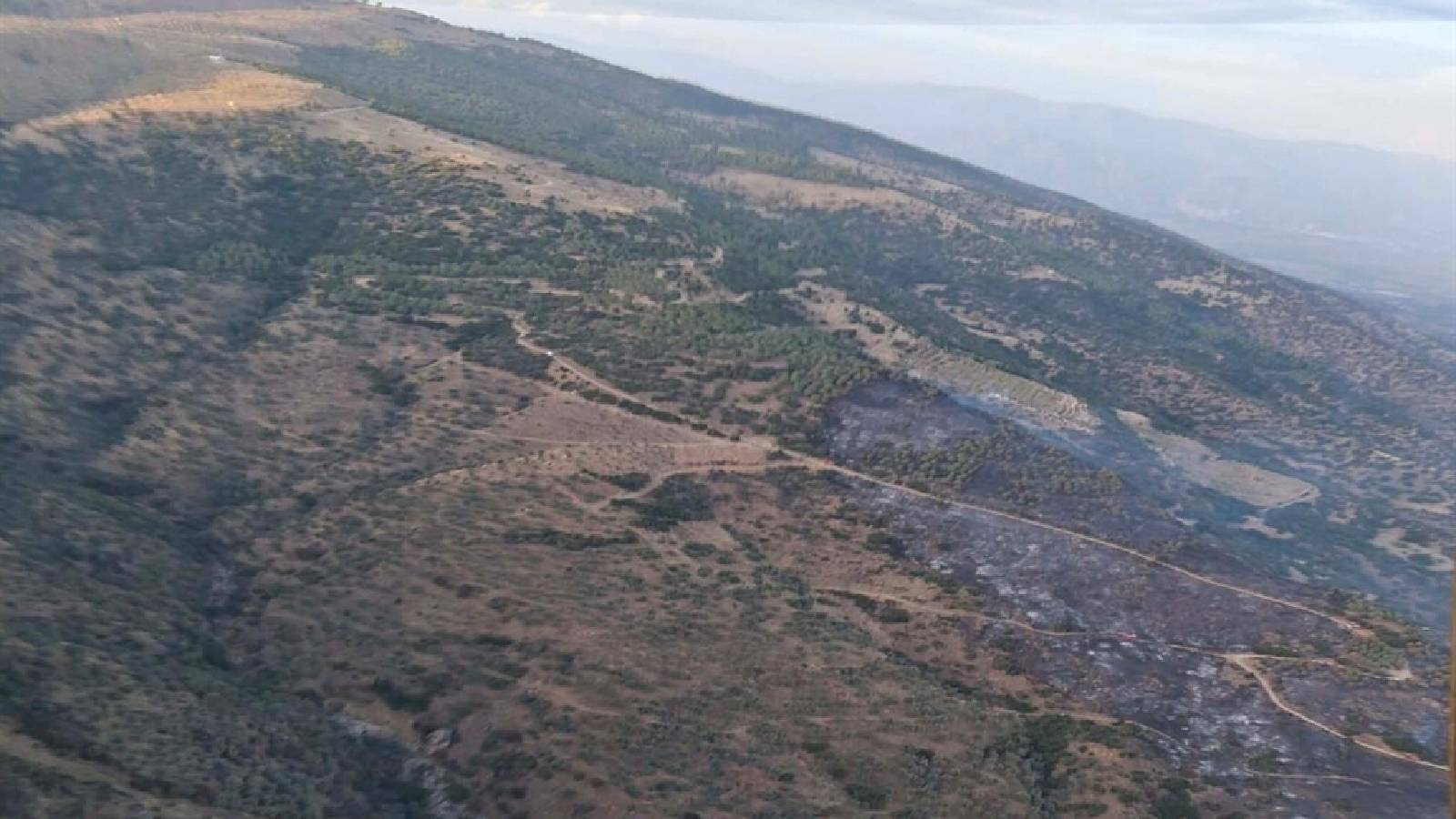 Bahçede temizlik için yakılan ateş ormana sıçradı; 1 gözaltı