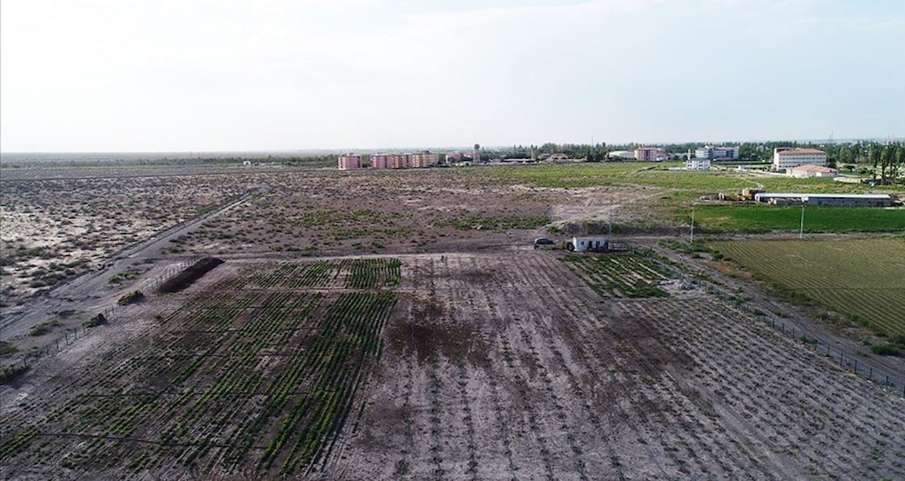 FAO’dan Türkiye’de arazi tahribatını önlemeye 8,15 milyon dolarlık destek