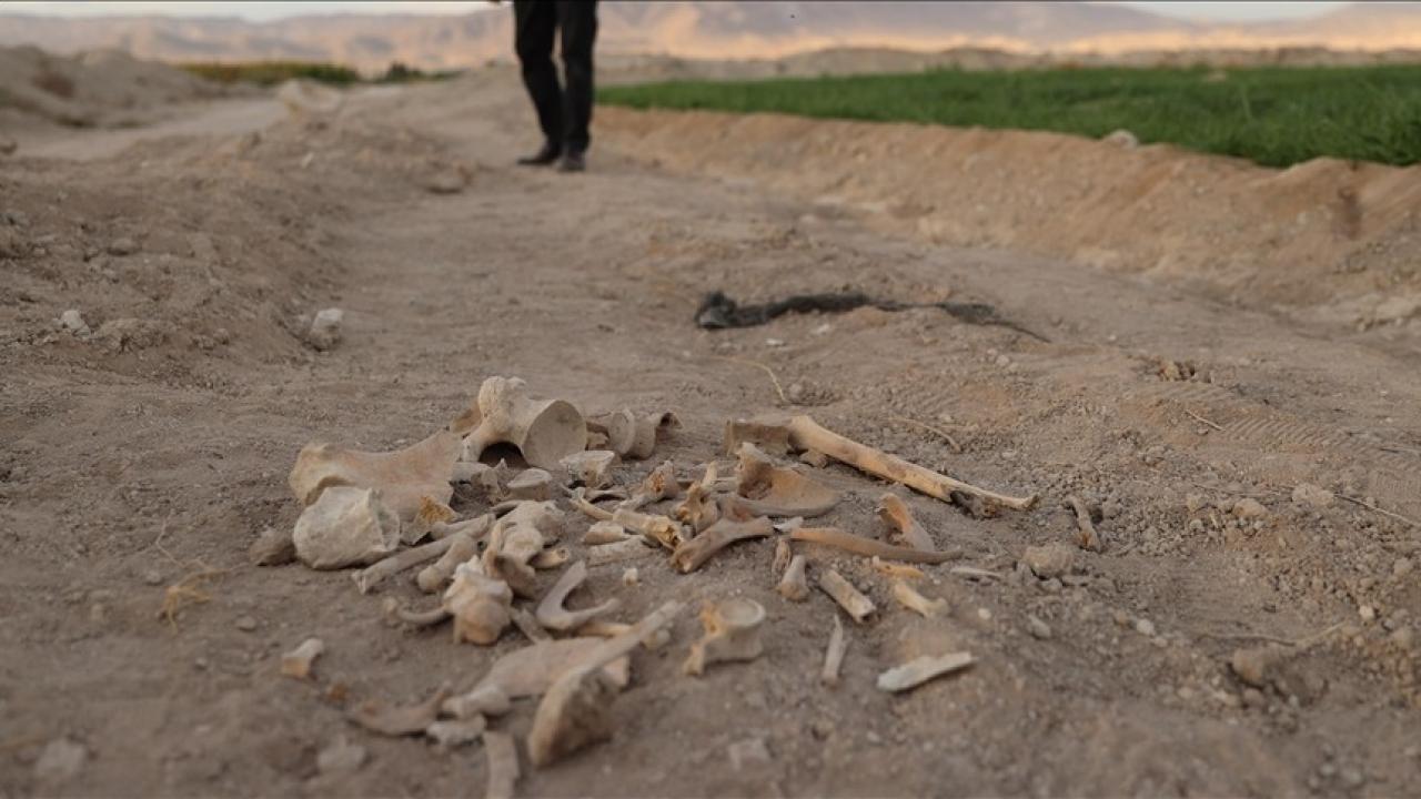 Suriye’de kan donduran manzara! İç savaşın korkunç yüzü görüntülendi