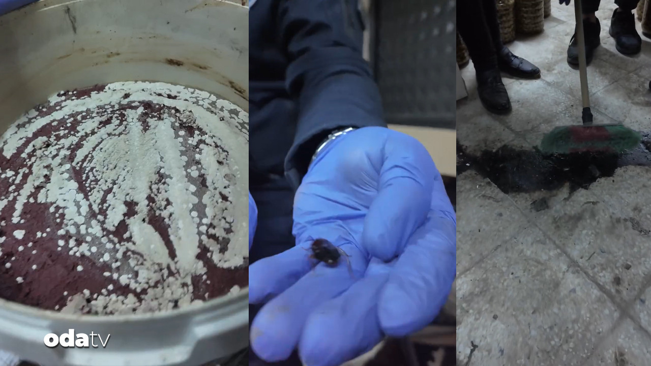 Bakkaldan skandal görüntüler: Ölü fareler, küflenmiş salça…