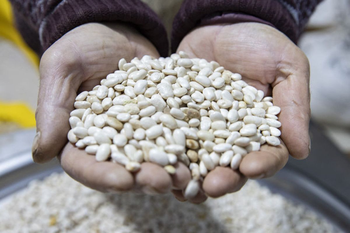 DMM, ‘kuru fasulye krizi’ iddiasını yalanladı