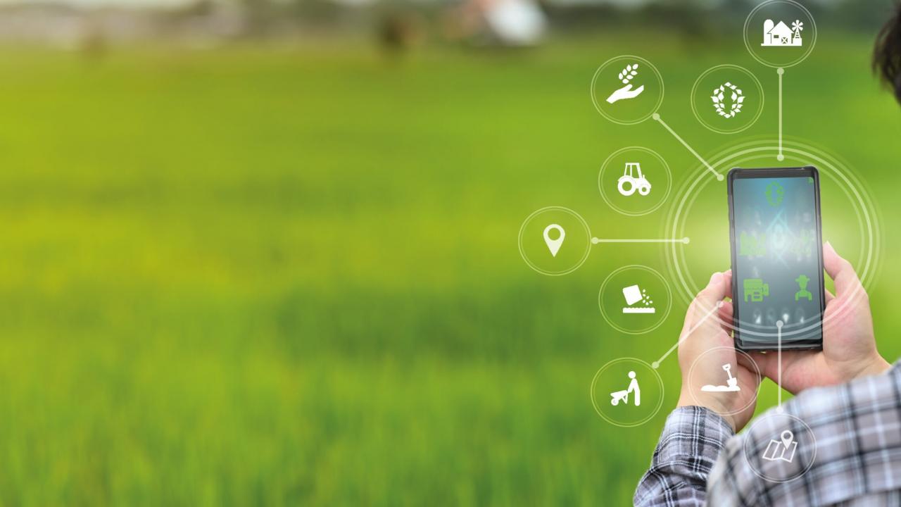 Türkiye tarımında yeni çağ: Otonom Çiftlikler dönemi başlıyor