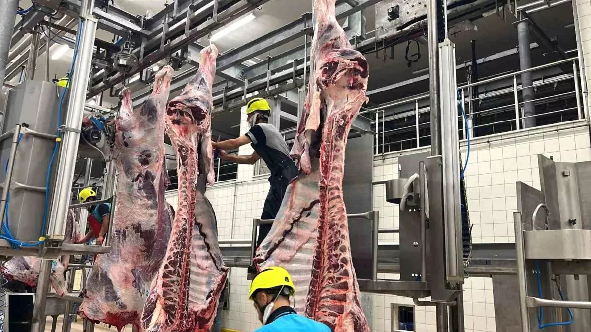 Büyükşehir mezbahasında 6 bin 29 kesim yapıldı