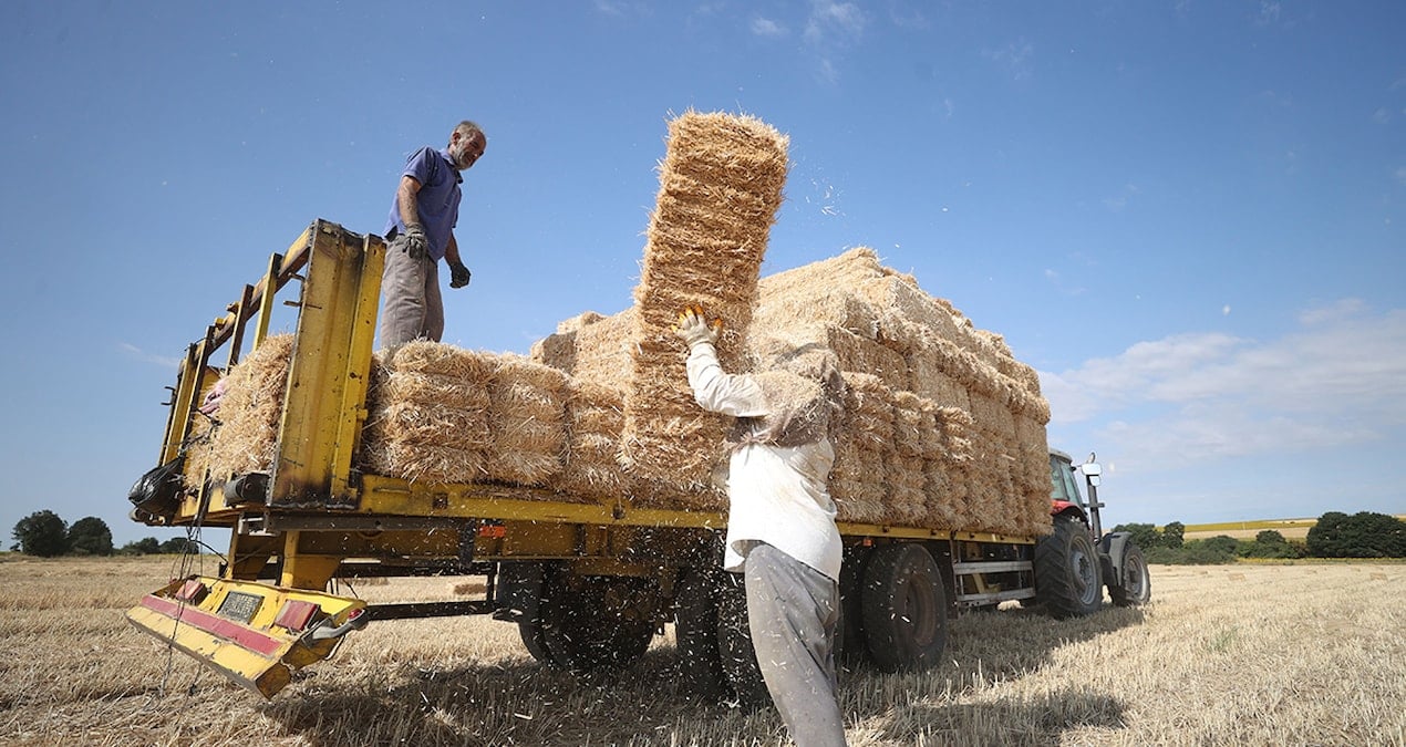 Kara gün dostu faiz batağında