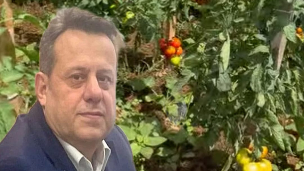 Haber gorseli